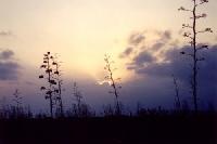 Best offers for Casa La Noria Pozo de los Frailes